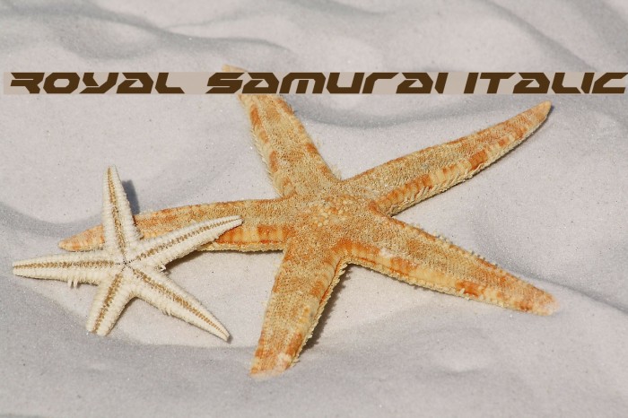 Royal Samurai Italic Example 2
