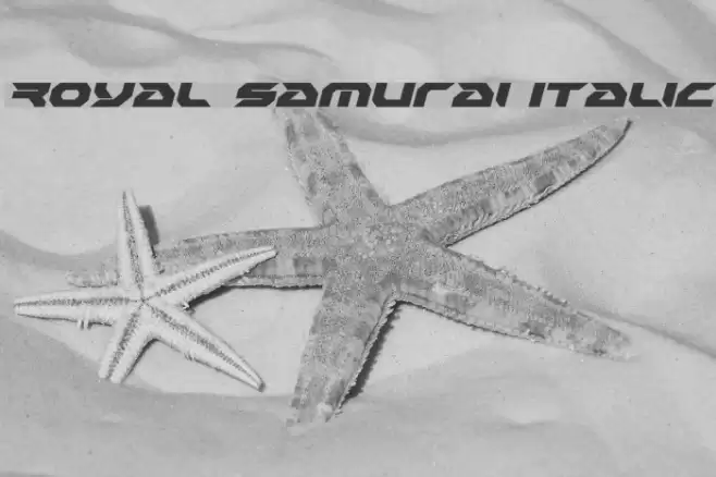 Royal Samurai Italic Font examples