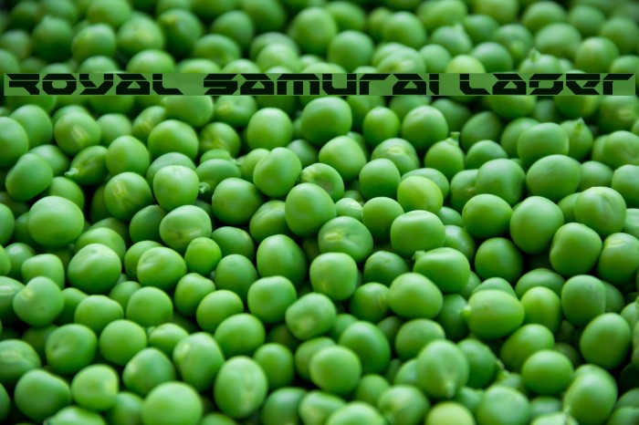 Royal Samurai Laser Example 1