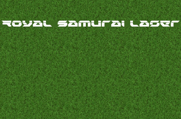 Royal Samurai Laser Example 3