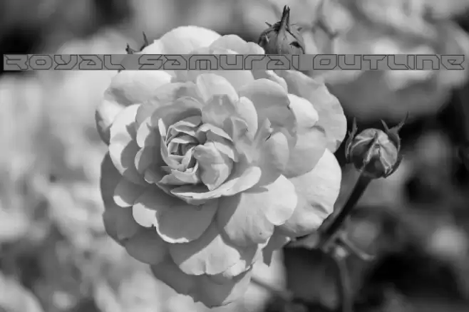 Royal Samurai Outline Font examples