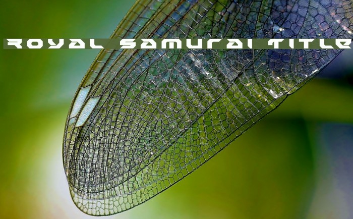 Royal Samurai Title Font examples