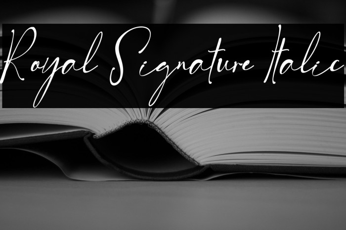 Royal Signature Italic Example 1
