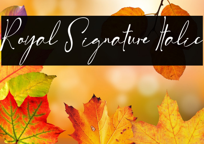 Royal Signature Italic Example 2