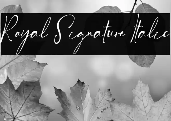 Royal Signature Italic Font examples