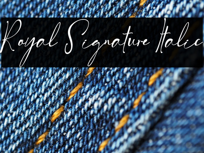 Royal Signature Italic Example 3