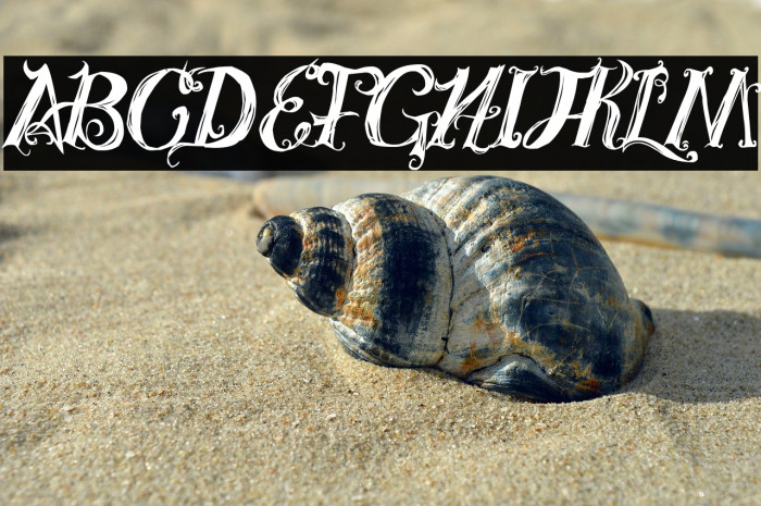 Royal Vanity Example 2