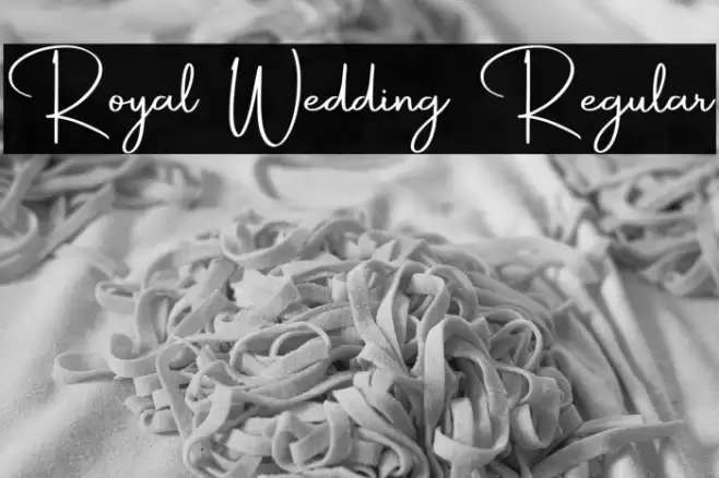 Royal Wedding Regular フォント examples