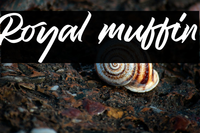 Royal muffin Example 2