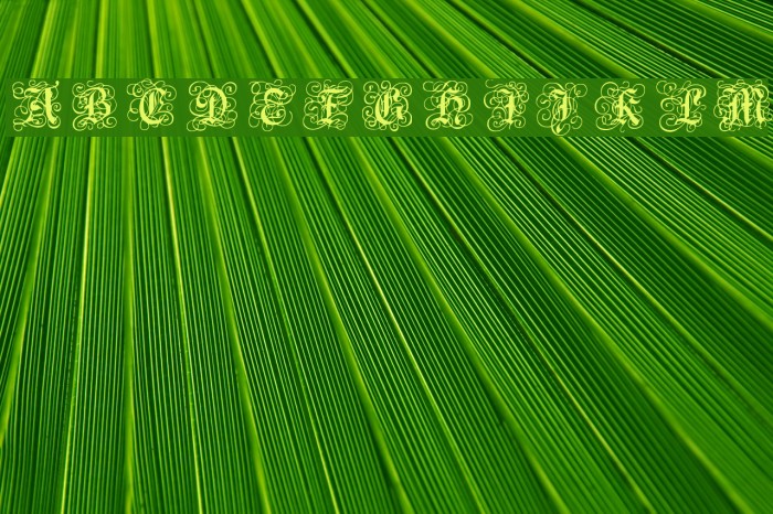 RoyalGothic Font examples