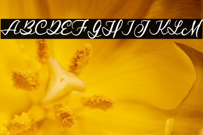 RoyalStamforddemo Example 3