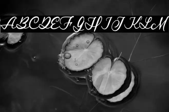 RoyalStamforddemo Font examples