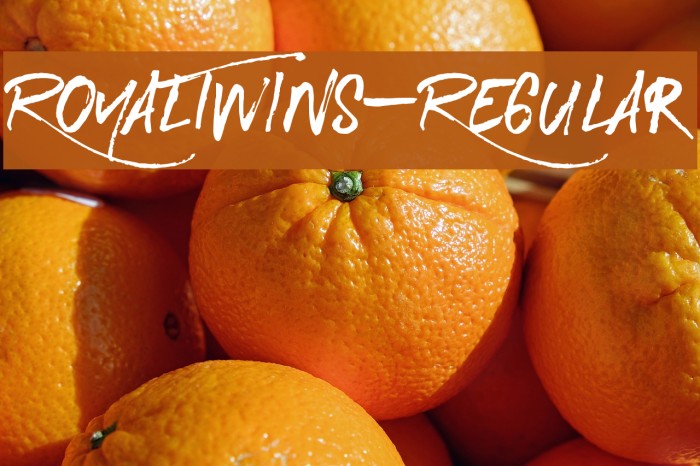 RoyalTwins-Regular Font examples