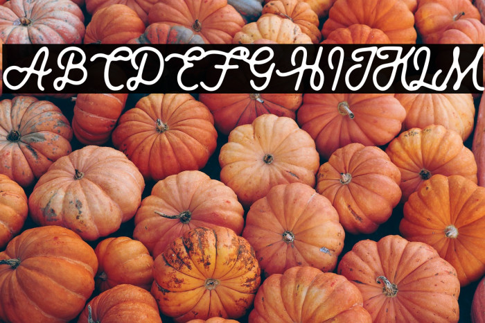 Royaland Clean Demo Version Example 2