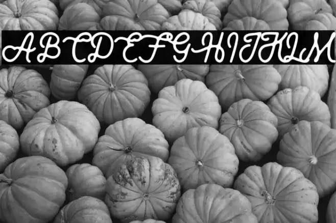 Royaland Clean Demo Version Font examples