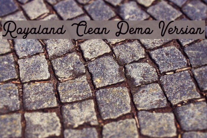 Royaland Clean Demo Version Example 2