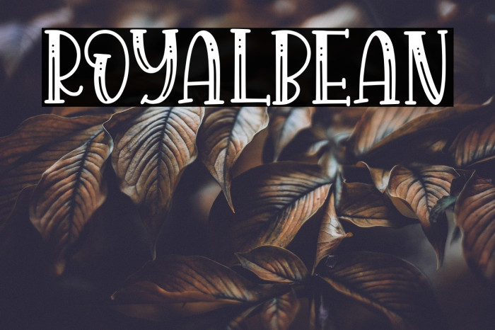 Royalbean Example 1