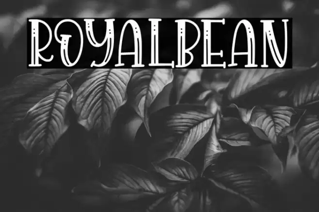 Royalbean Font examples