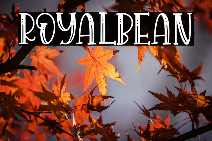 Royalbean Example 2