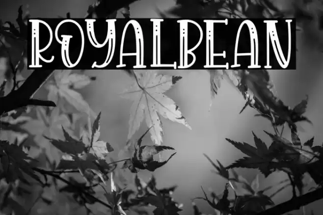 Royalbean Font examples