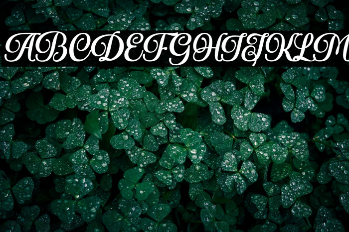 Royale Dreams Personal use Example 3