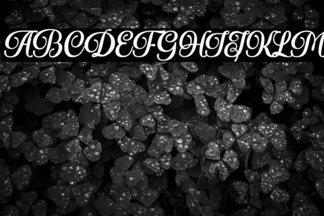 Royale Dreams Personal use Font examples