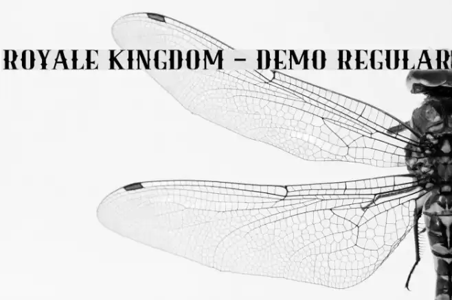 Royale Kingdom - DEMO Regular Font examples