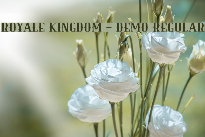 Royale Kingdom - DEMO Regular Font examples