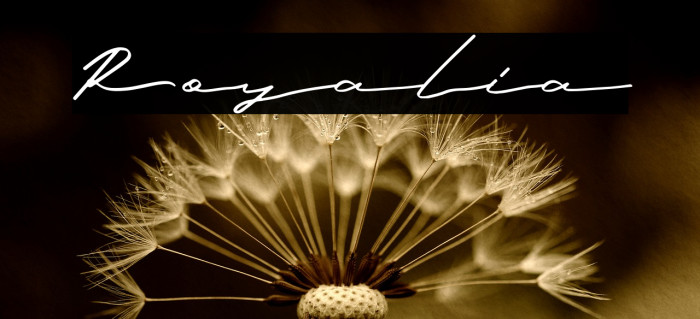 Royalia Font examples