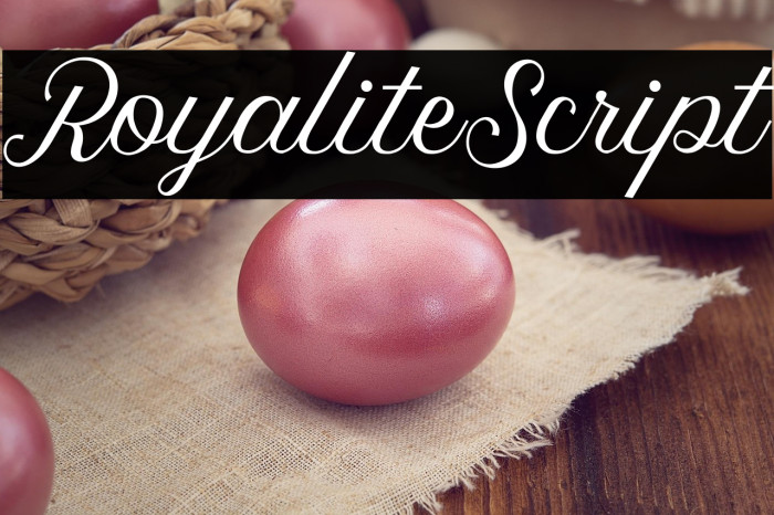 RoyaliteScript Example 3