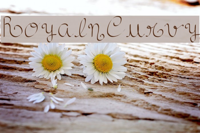 RoyalnCurvy Font examples