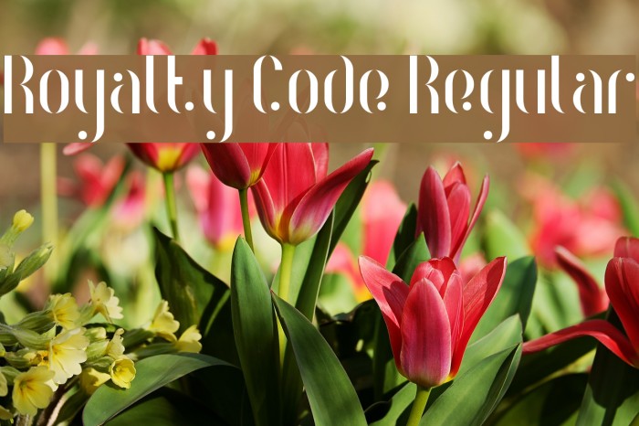 Royalty Code Regular Font examples
