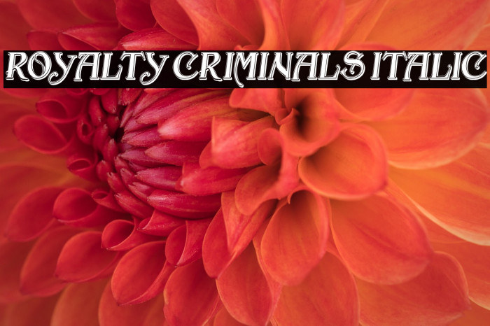 Royalty Criminals Italic Example 1