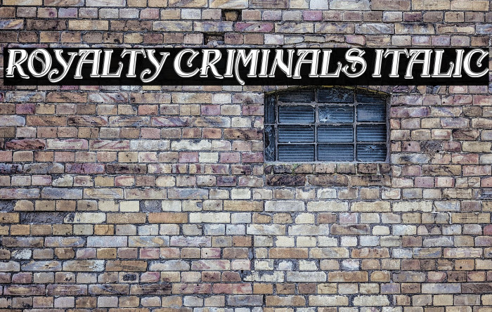 Royalty Criminals Italic Example 3