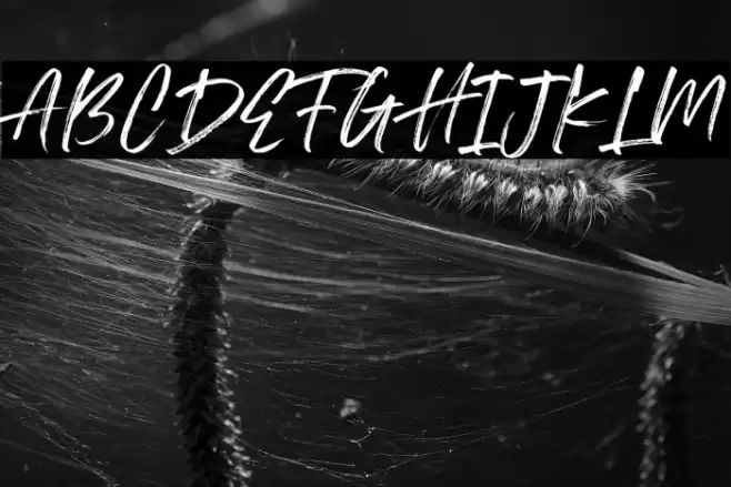 Royalty DEMO Font examples