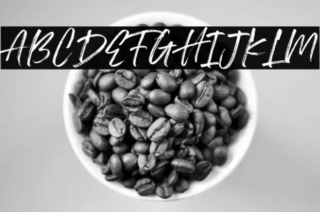 Royalty DEMO Font examples