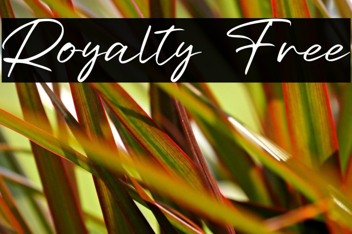 Royalty Free Example 2