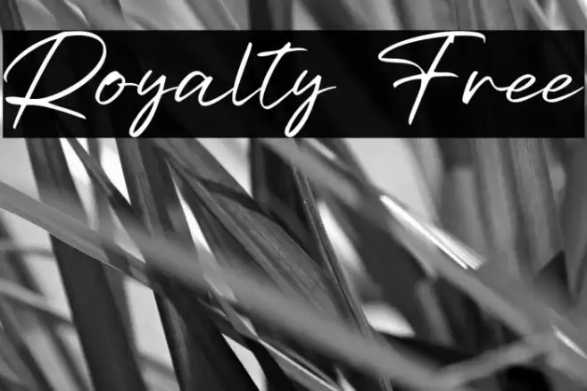 Royalty Free Fonte examples