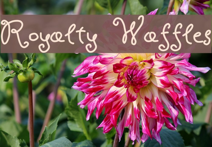 Royalty Waffles Example 2