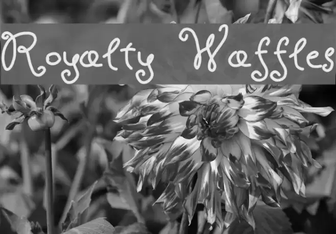 Royalty Waffles Font examples