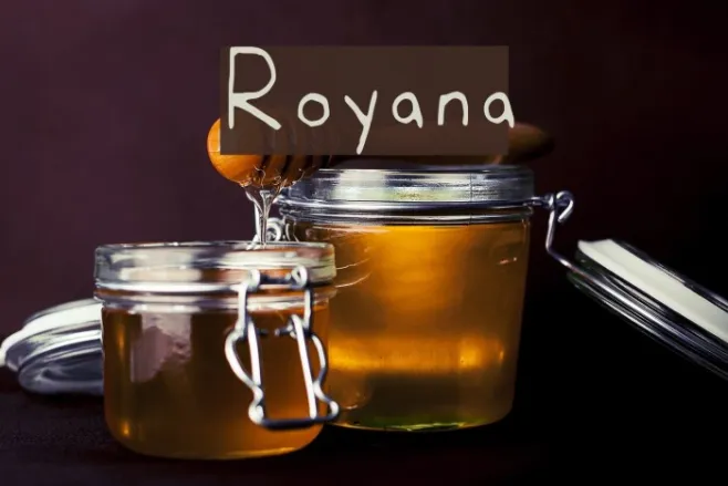 Royana Example 2