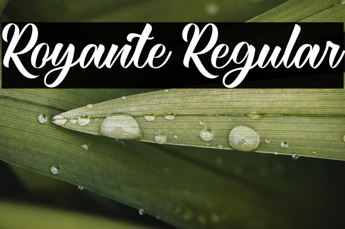 Royante Regular Example 1