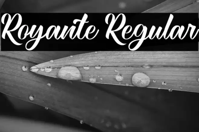 Royante Regular Font examples