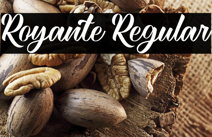 Royante Regular Example 3
