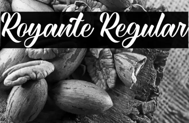 Royante Regular Font examples