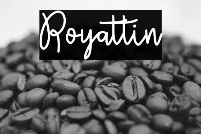 Royattin Font examples