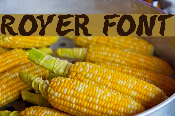 Royer Font examples