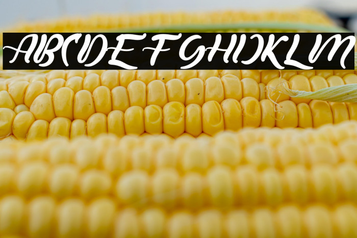 Royken Free Example 3