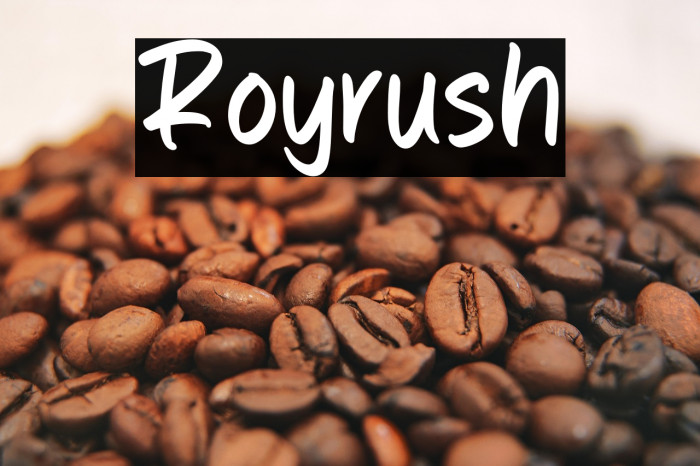 Royrush Example 1