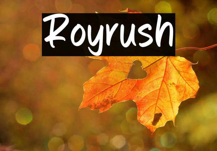 Royrush Example 3